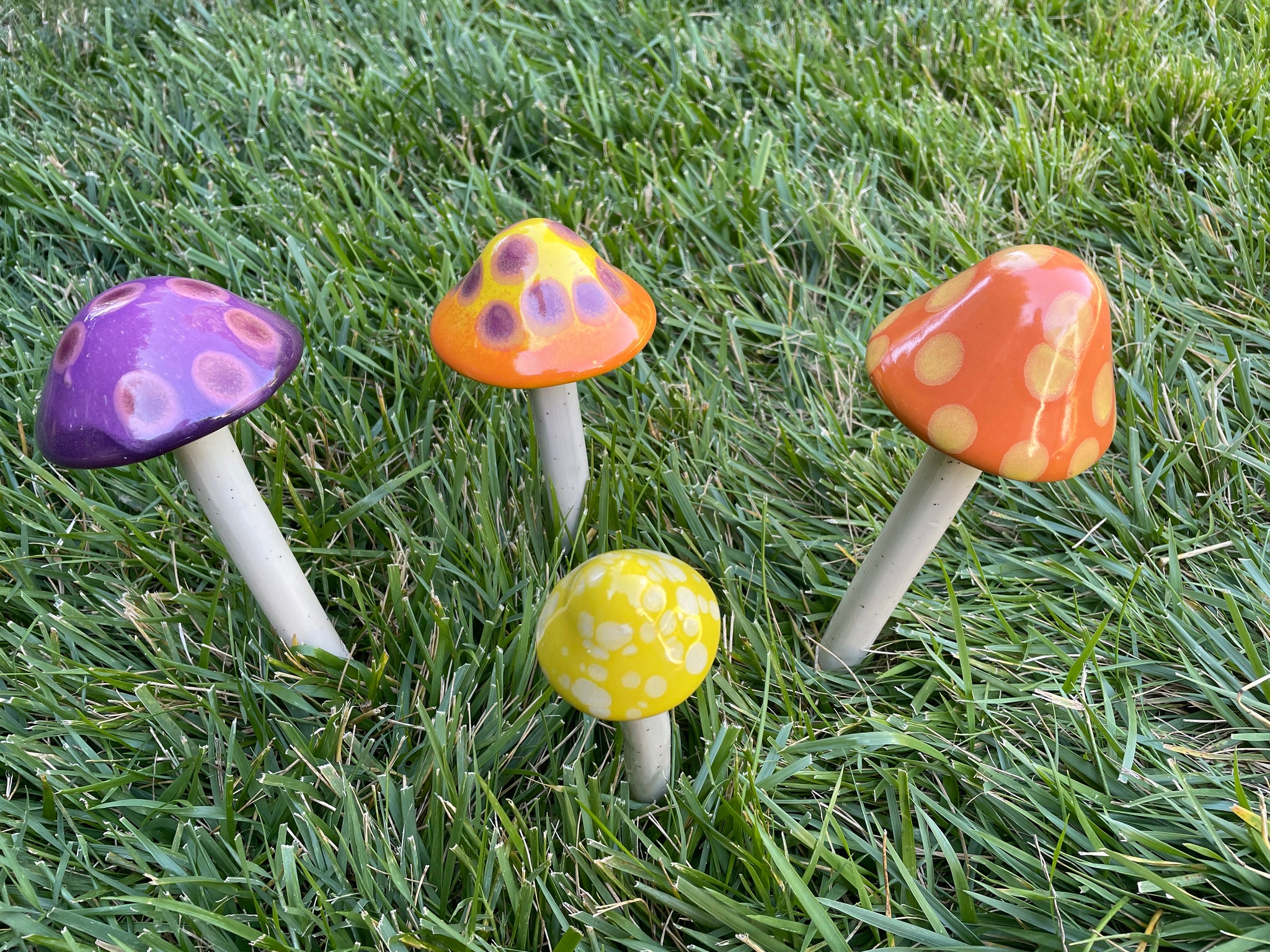 image for Garden Mushrooms