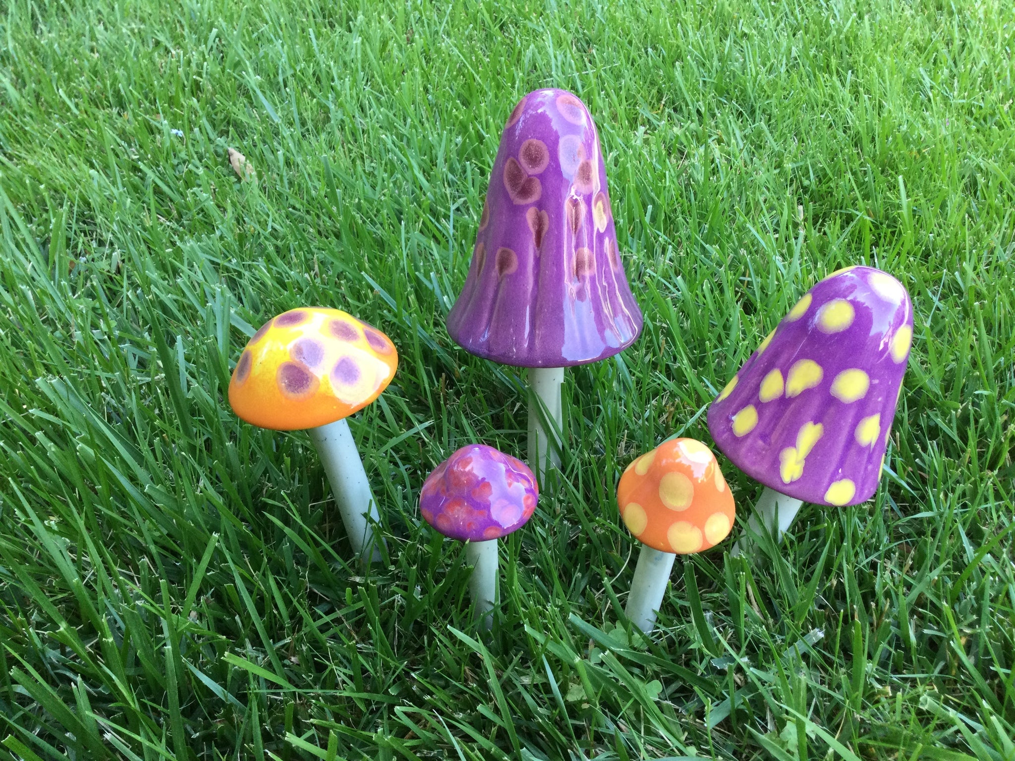 image for Garden Mushrooms