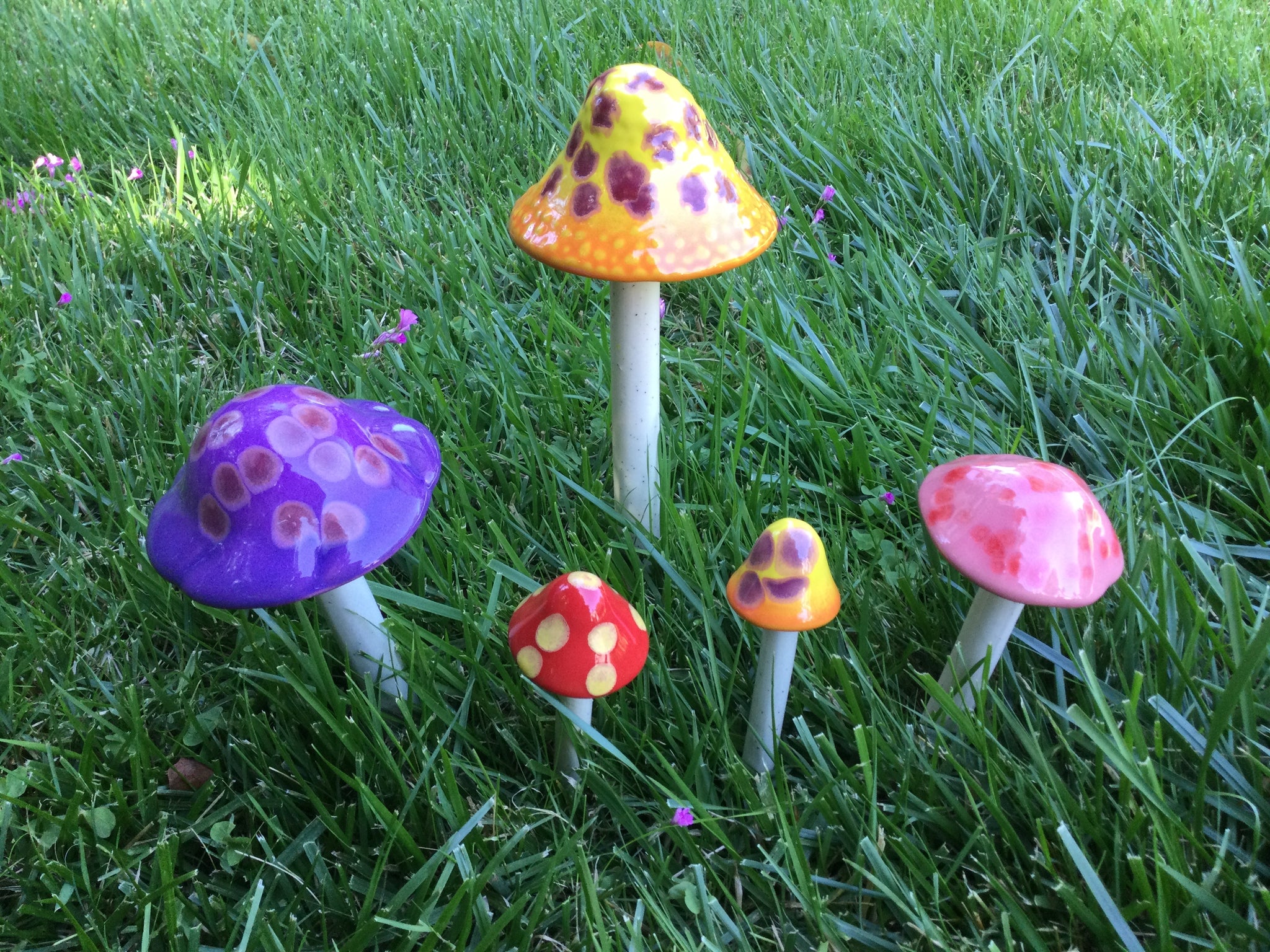 image for Garden Mushrooms