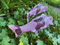 Koi Fish - Taro, Ceramic Garden Sculpture by JJ Potts